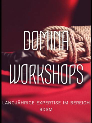 Domina-Profi-Workshop 1