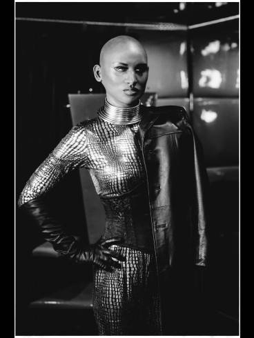 Black Viper 11