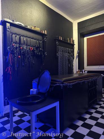 Studio Instinct 3