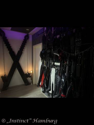 Studio Instinct 6