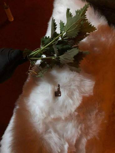 HERRIN JESSY - privat - diskret - erfahren 50