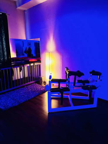 Viola im Domina Studio Refugium 19