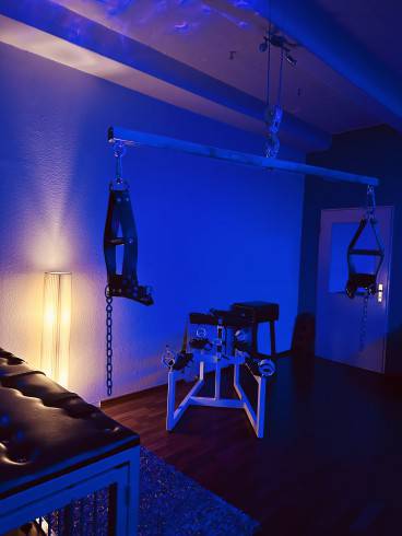 Viola im Domina Studio Refugium 20