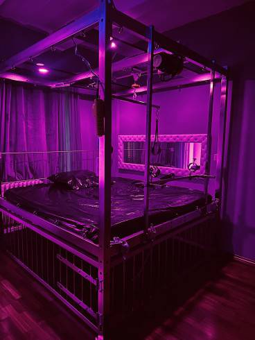 Viola im Domina Studio Refugium 21
