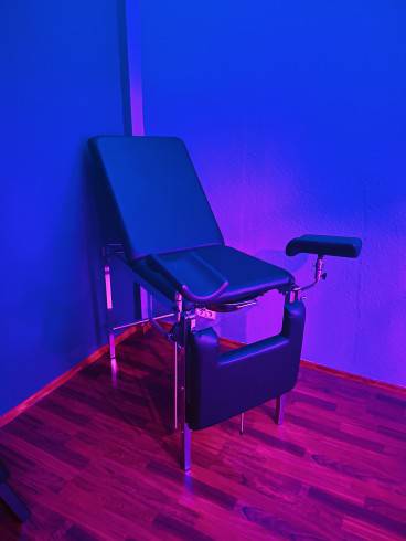 Viola im Domina Studio Refugium 22