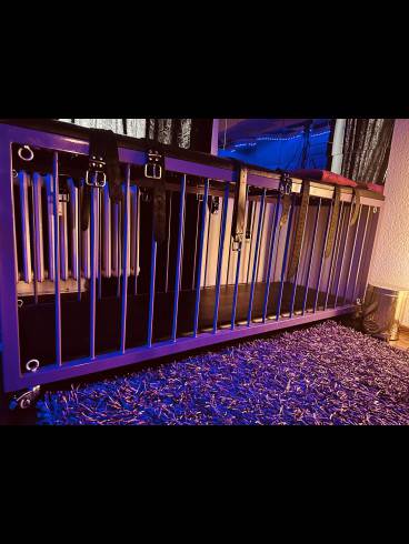 Viola im Domina Studio Refugium 27