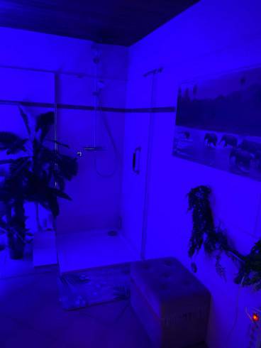 The Dark Side - BDSM - Fetisch - Verlies - Klinik 55