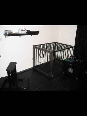 Studio HL-World 12