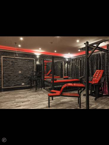 ELEGANCE Etablierte Adresse- PREMIUM Studio 49